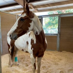 Meet your Posher, Brooklyn